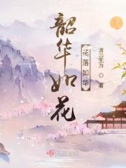 韶华如驶下一句