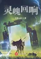 灵魂回响