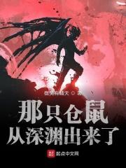 仓鼠探险