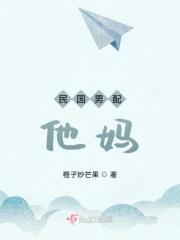 男穿民国养家