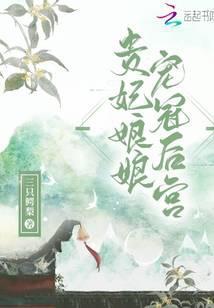 贵妃娘娘宠冠后宫by梁西弥百度