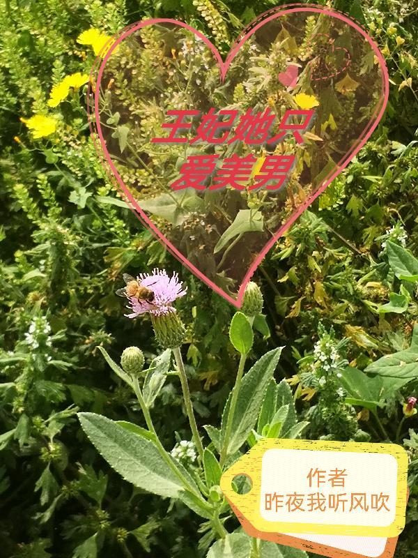 王妃她恃宠而骄全文免费
