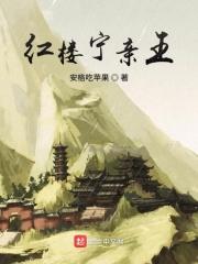 红楼梦宁国府