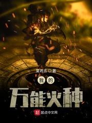 我的万能火种是啥意思啊
