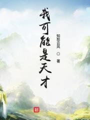 可能我是一个天才