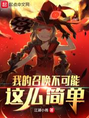 我的召唤不可能这么简单 江湖小雨