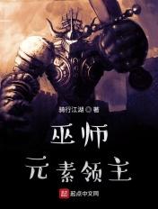 巫师元素领主起点