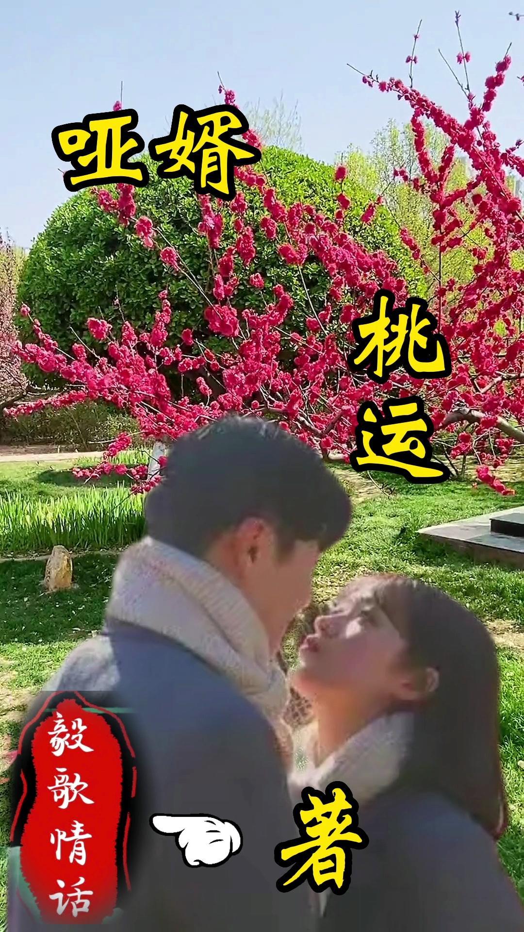哑妻简介