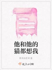 岁岁有今天什么意思