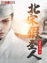 北宋假圣人无防盗
