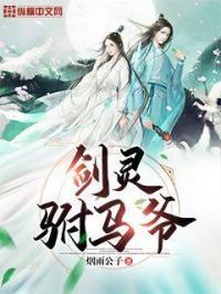 剑灵马尾辫