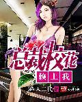 总裁校花赖上我视频
