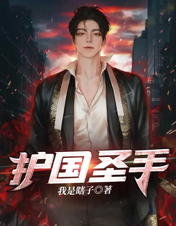 书名护国神帅