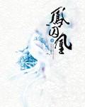 凤囚凰王意之