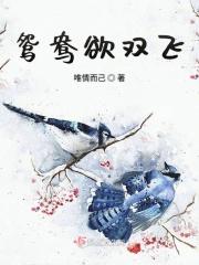 鸳鸯双栖蝶双飞歌曲原唱