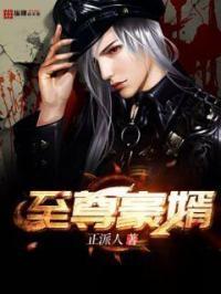 超级至尊豪婿